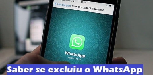 Como saber se a pessoa excluiu o WhatsApp?