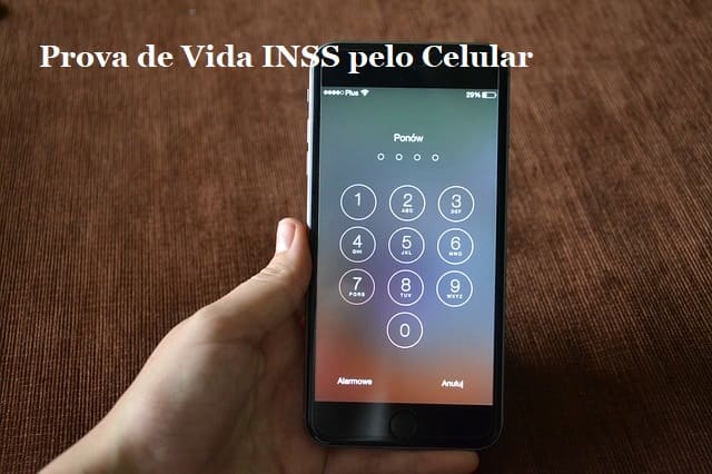 Prova De Vida Inss Pelo Celular Veja Como Fazer