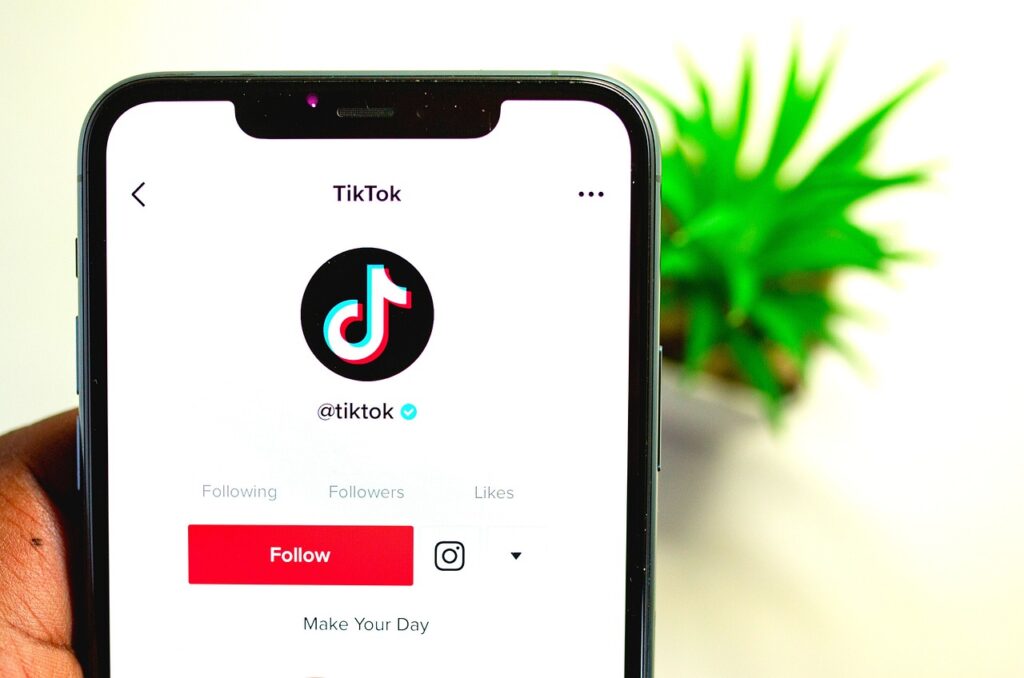 5 principais formas de conseguir ganhar dinheiro através do TikTok. Foto: Pixabay